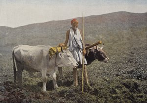 Attacco Kabyle da European Photographer